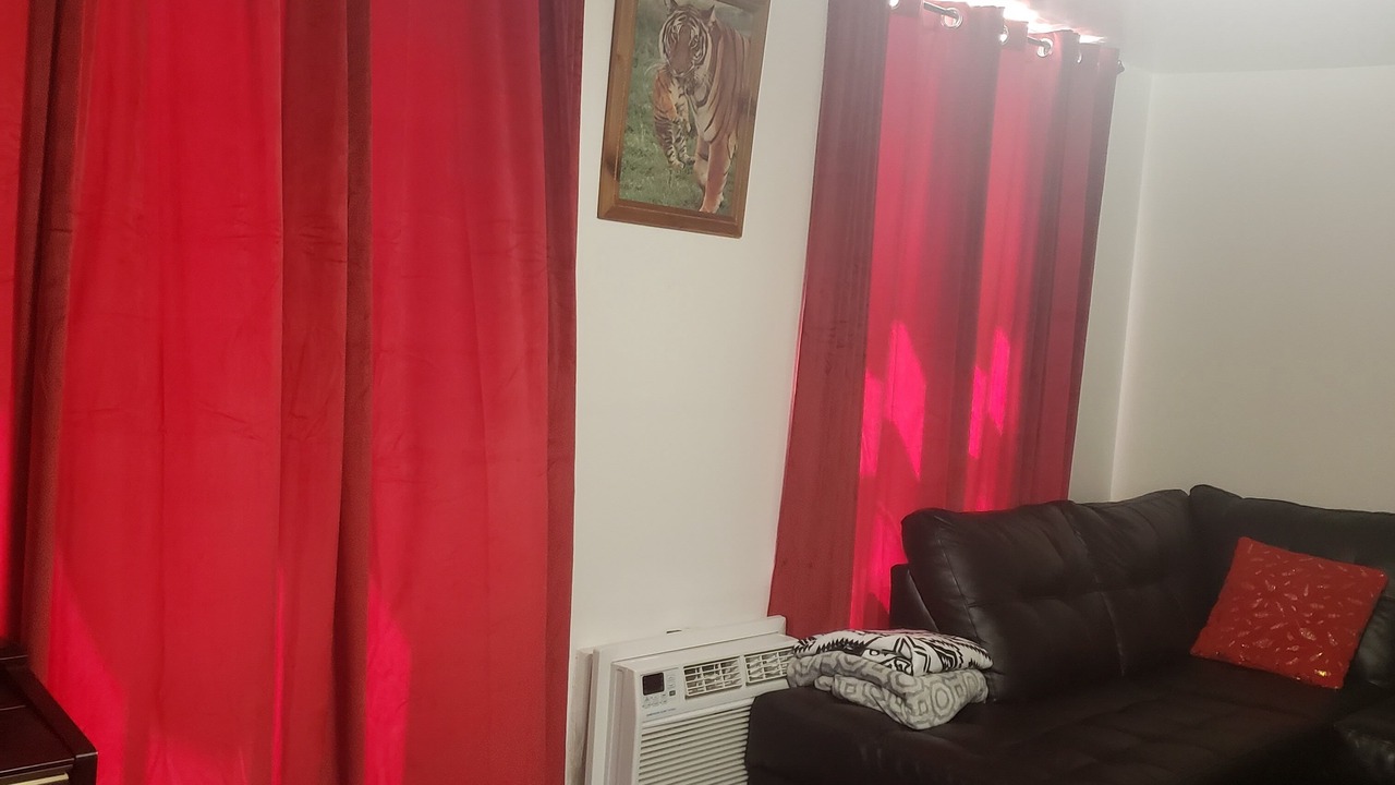 Photo of Livingroom in West Bronx
