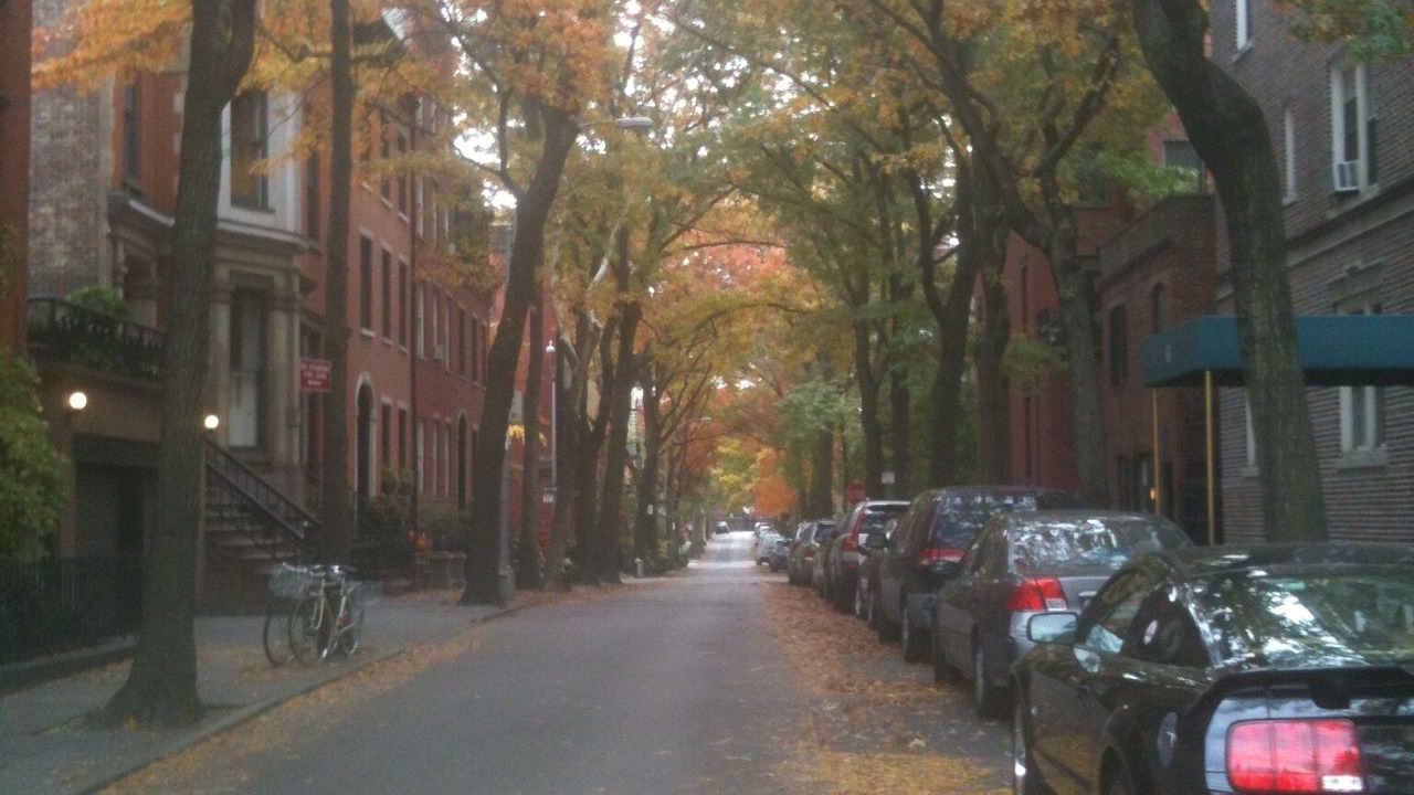 Photo of Others in Brooklyn Heights