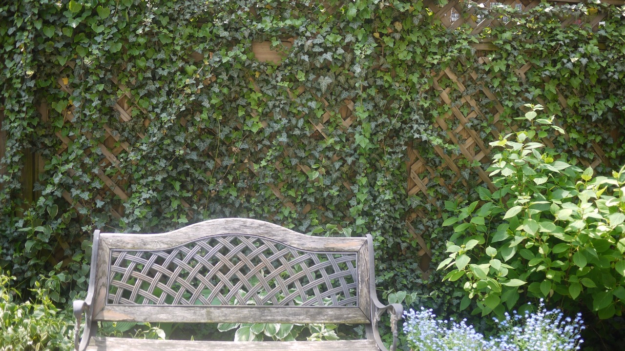 Photo of Outdoor in Central Park North