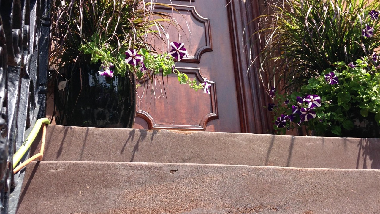 Photo of Outdoor in Bedford-Stuyvesant