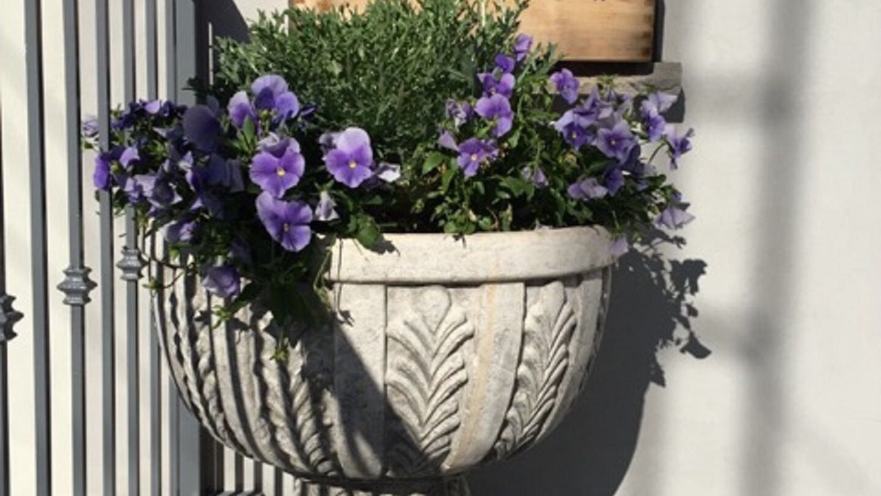 Photo of Outdoor in Ditmars Steinway