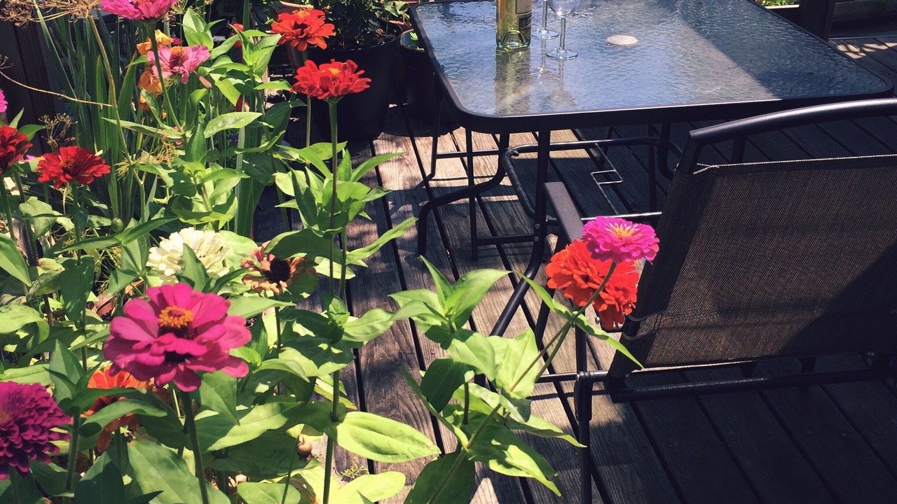 Photo of Outdoor in Briarwood