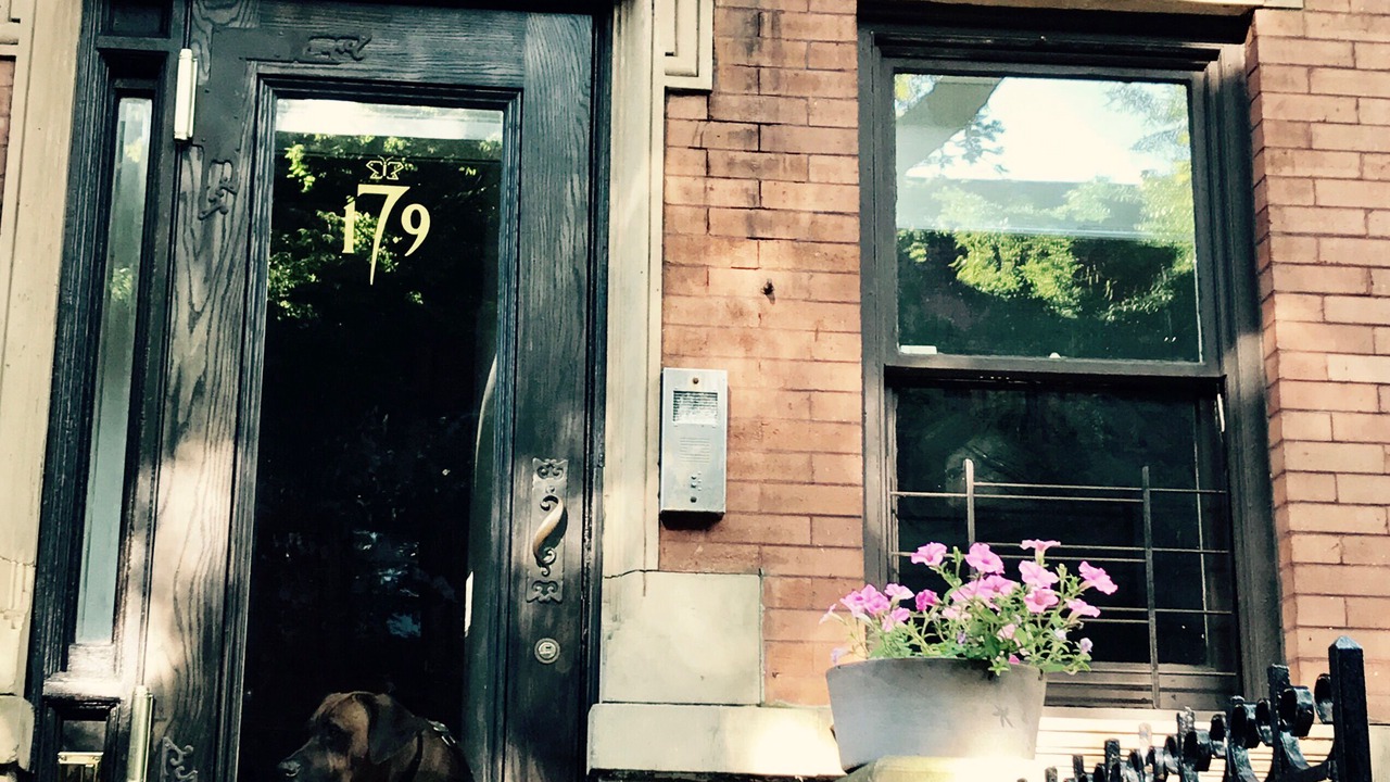 Photo of Outdoor in Clinton Hill