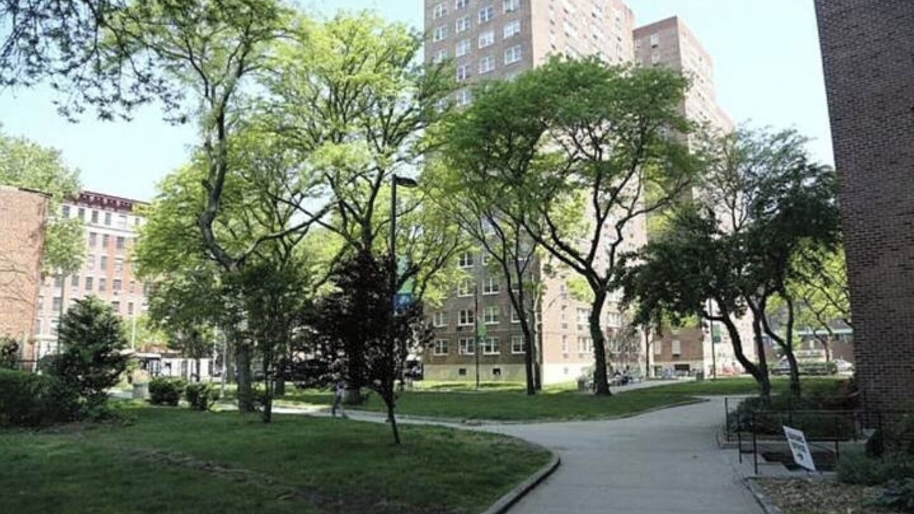 Photo of Others in Harlem