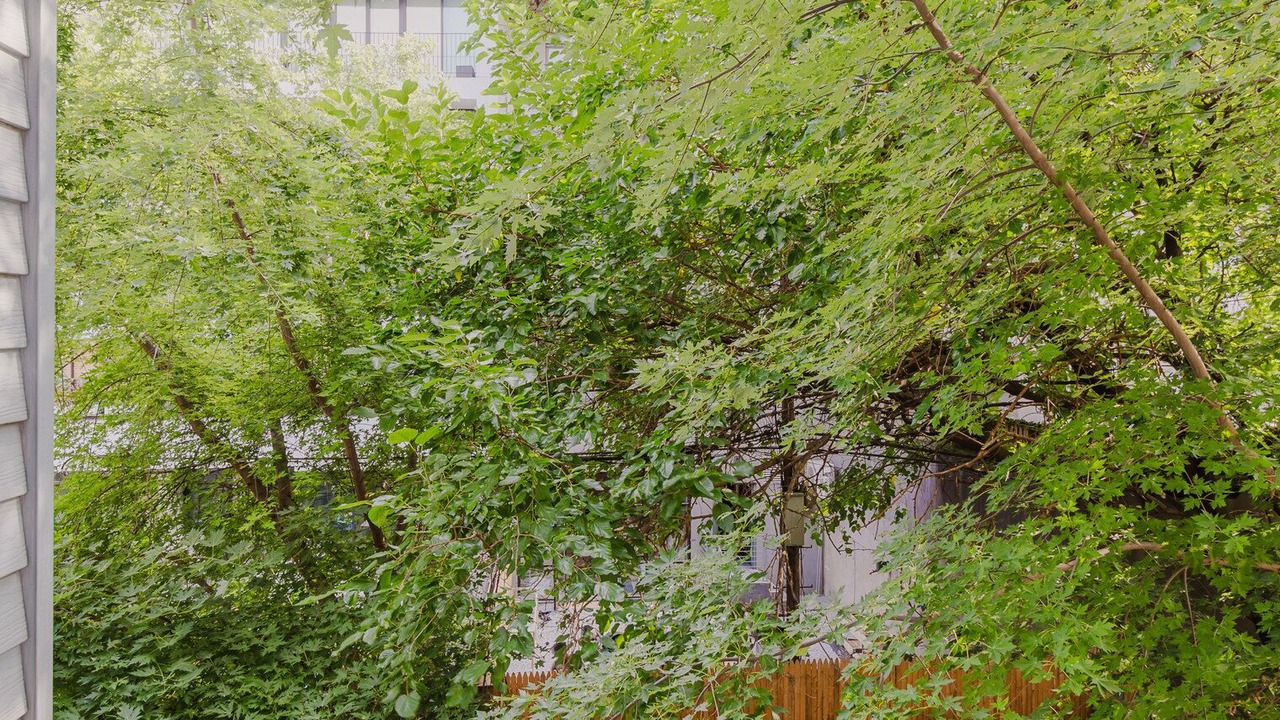 Photo of Outdoor in Williamsburg