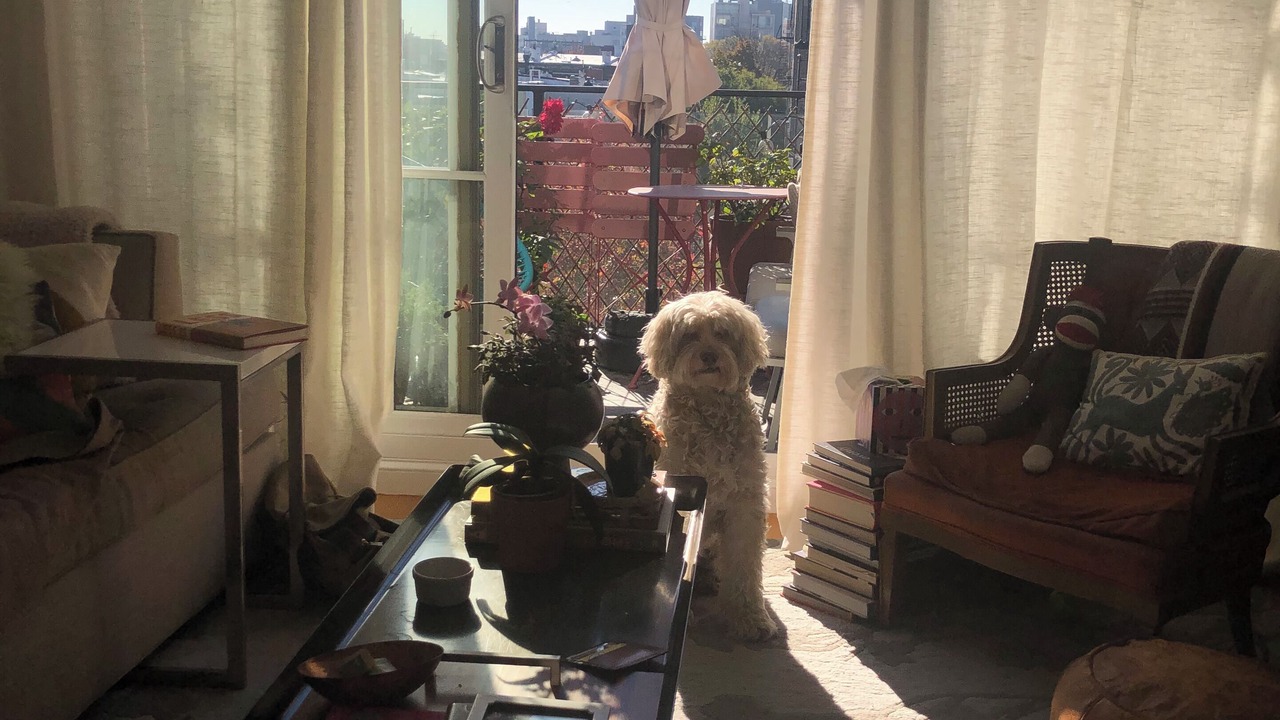 Photo of Livingroom in Greenpoint