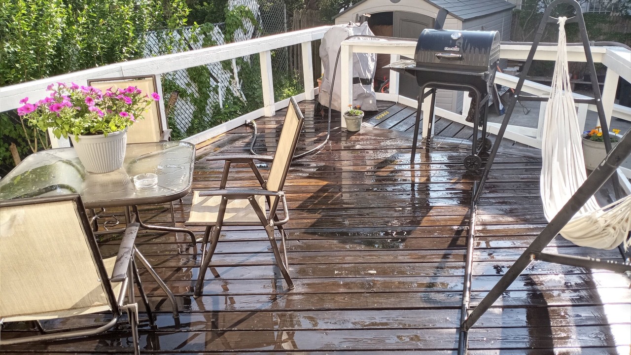 Photo of Outdoor in Queens
