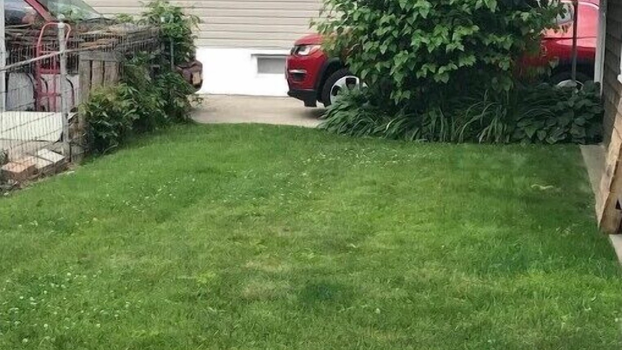 Photo of Outdoor in Queens