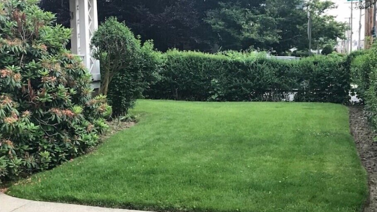 Photo of Outdoor in Queens