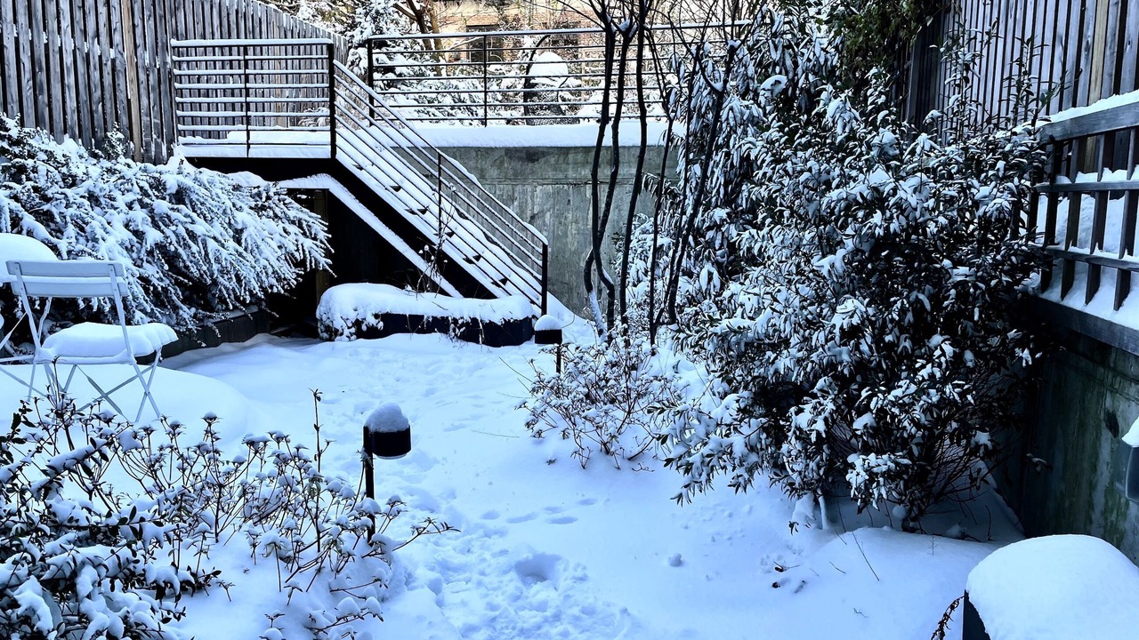 Photo of Outdoor in Downtown Brooklyn