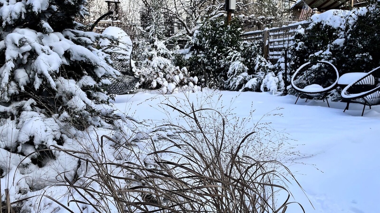 Photo of Outdoor in Downtown Brooklyn