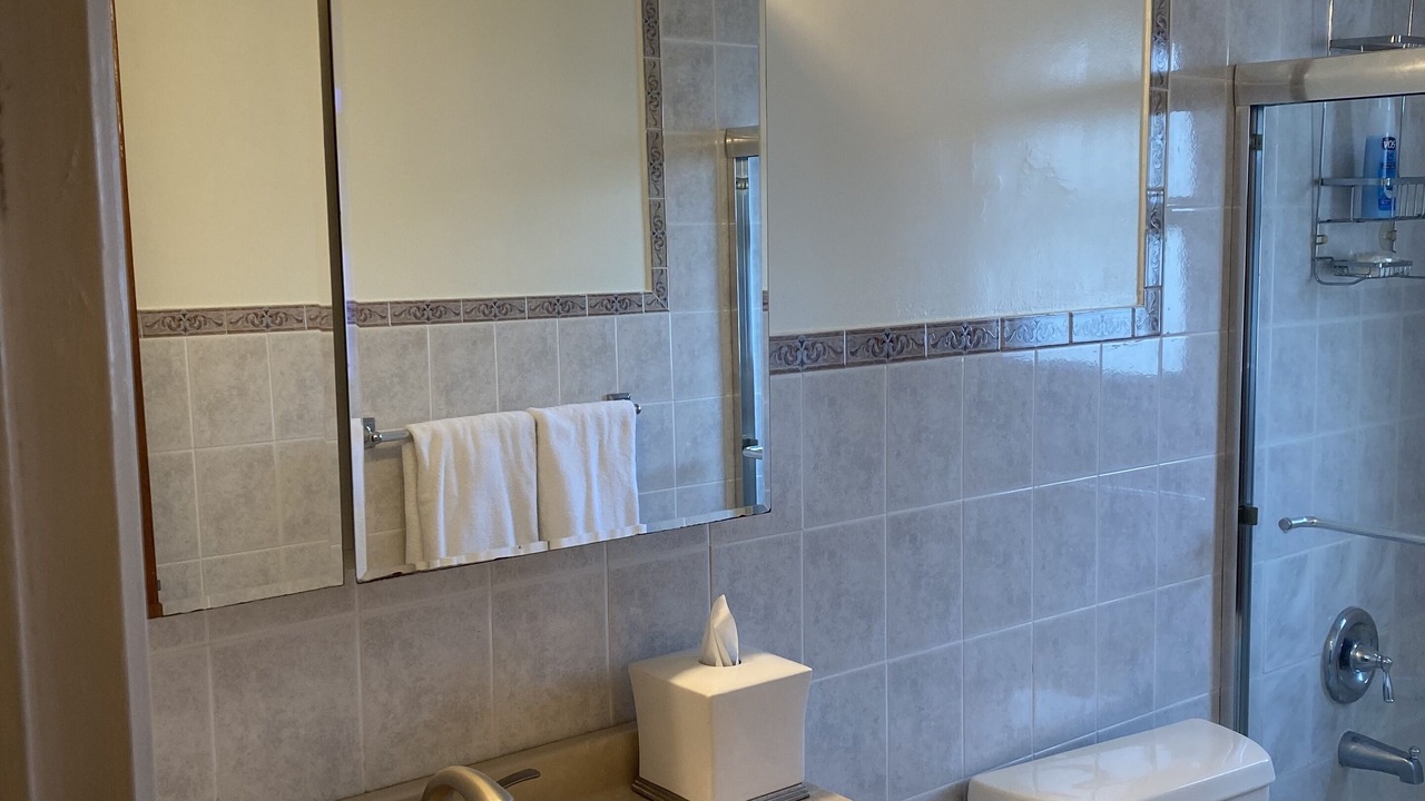 Photo of Bathroom in East Flushing