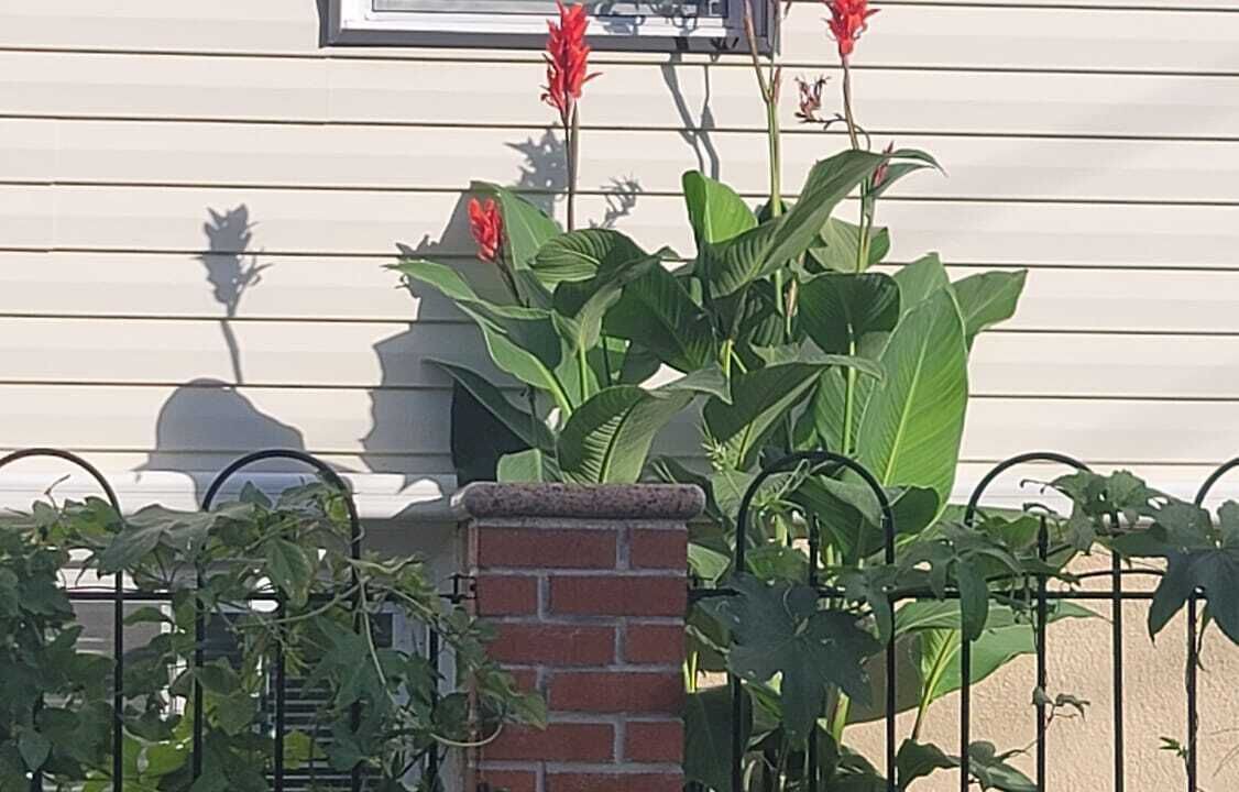 Photo of Outdoor in Queens
