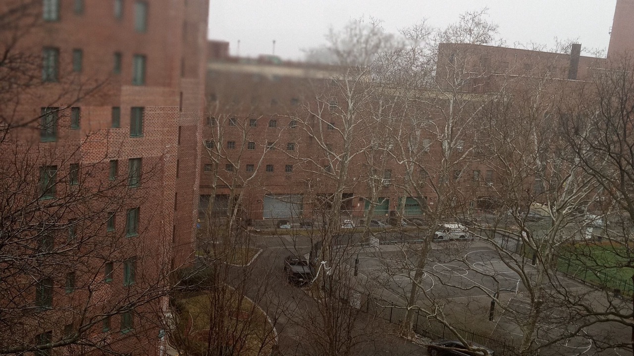 Photo of Others in Parkchester