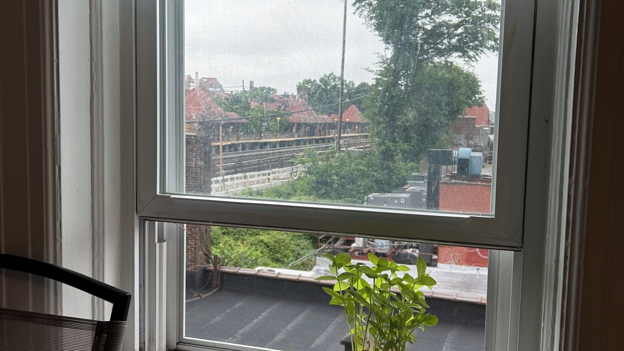 Photo of Others in Queens