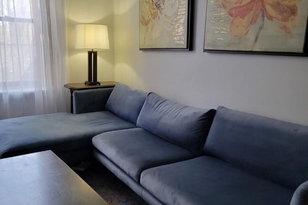 Photo of Livingroom in Ukrainian Village