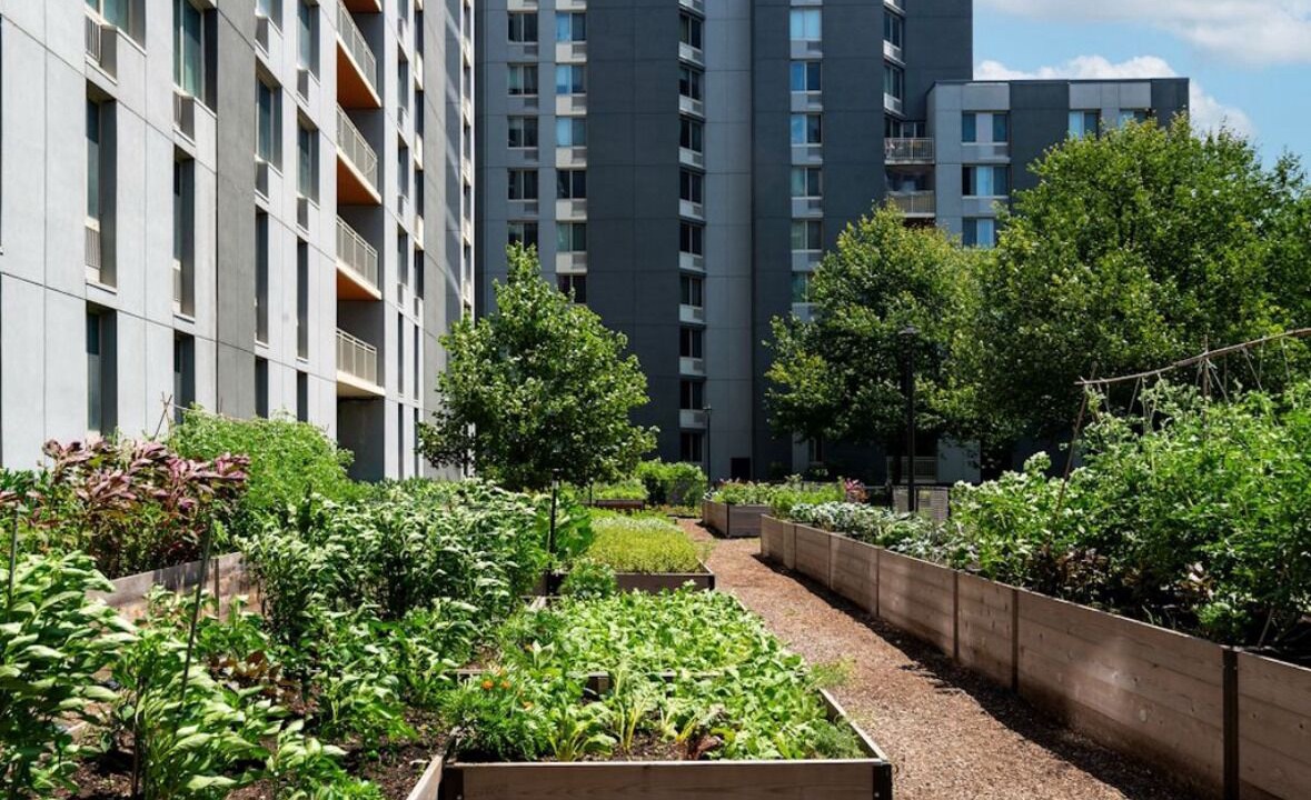 Photo of Outdoor in Queens