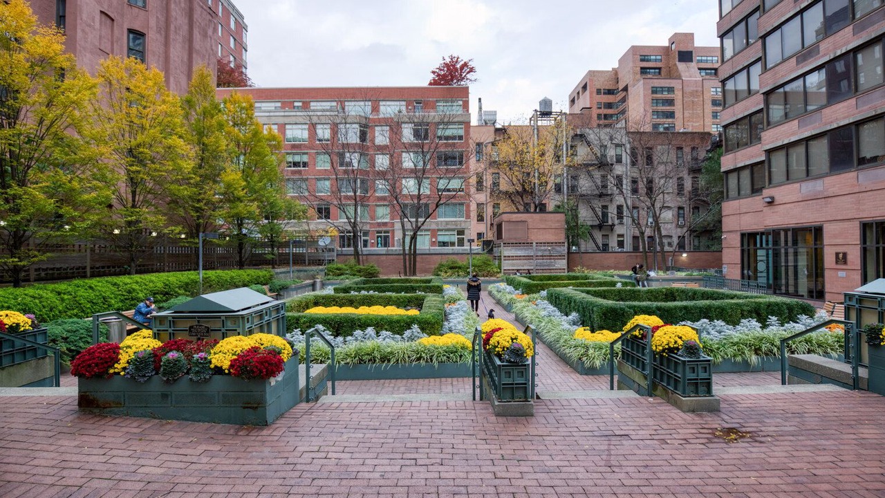 Photo of Outdoor in Upper East Side