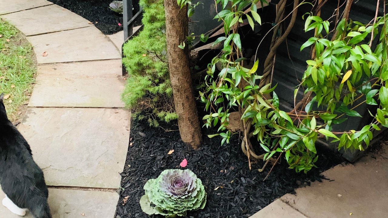 Photo of Outdoor in Park Slope