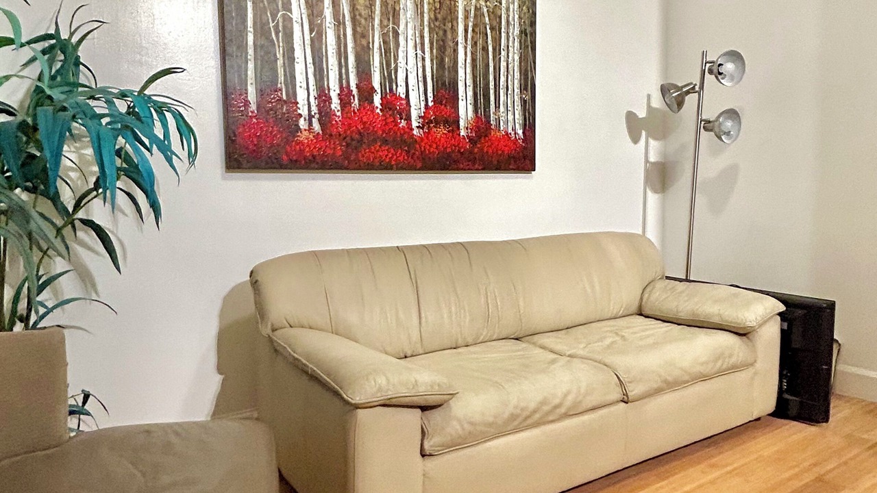 Photo of Livingroom in Bushwick