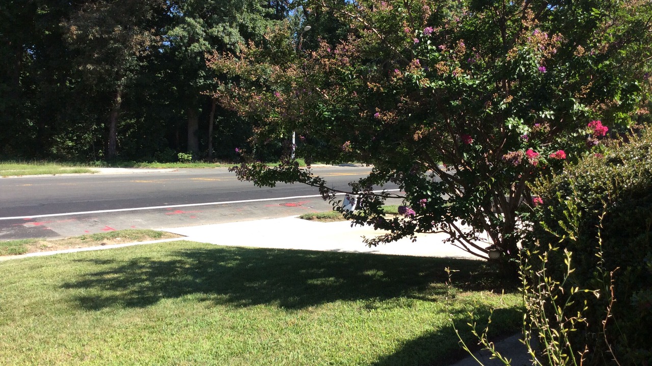 Photo of Others in Holliswood