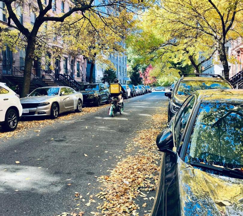 Photo of Others in Central Park North