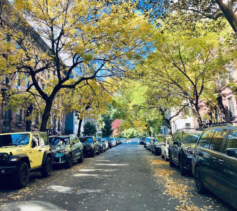Photo of Others in Central Park North