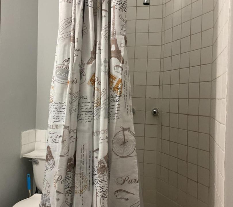 Photo of Bathroom in East Harlem
