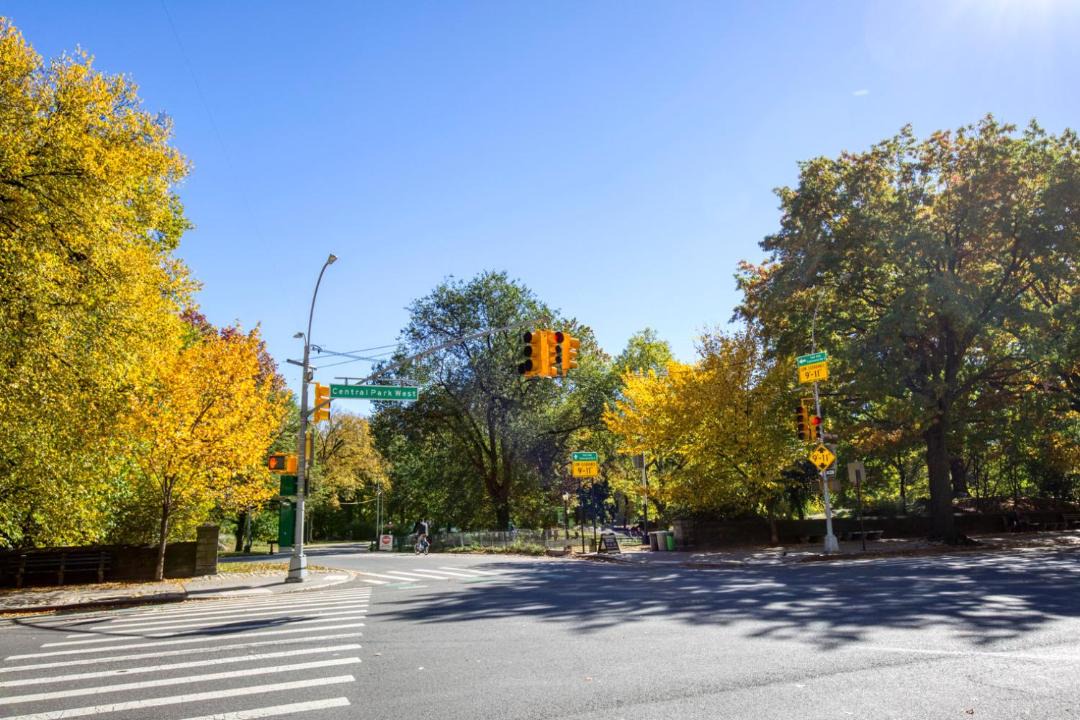 Photo of Others in Manhattan Valley