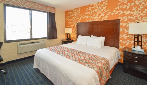 Room, 1 King Bed, Smoking