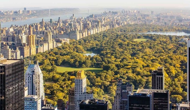 New York Style Stay near Central Park